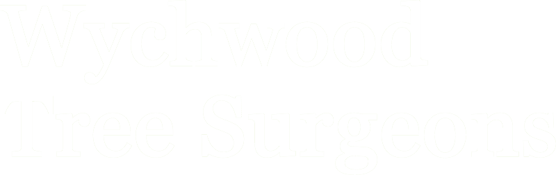 Wychwood Tree Surgeons